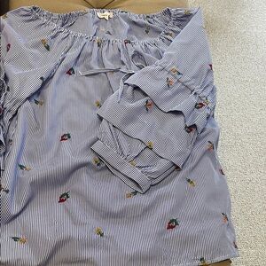 Blue Striped Mini Skirt with Multicolor Floral Embroidery